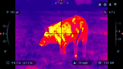 The easiest way to find the thermal scope.this is not the only way.thermal scope also spawn in different areas of the map.by the. Night Vision vs Thermal For Hunting & Tactical Scenarios ...