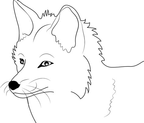 Fox Coloring Pages Free Printable