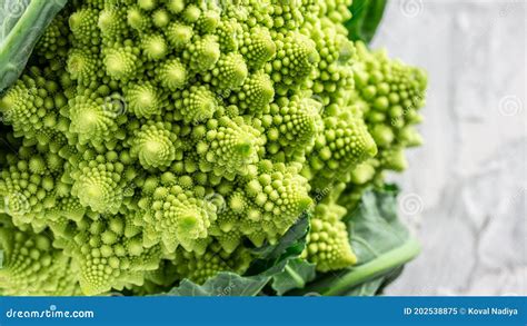 Romanesco Broccoli Close Up The Fractal Vegetable Is Known For It S