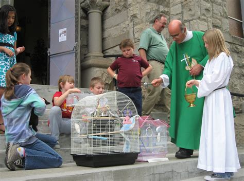 Father Julians Blog Blessing Of Animals