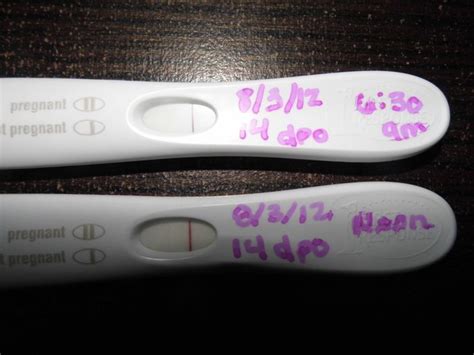 Br Faint Line On Pregnancy Test New Update On Page 2 Weddings