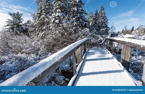 Snow Covered Footbridge In A Winter Woods Fresh Fallen Snow Stock