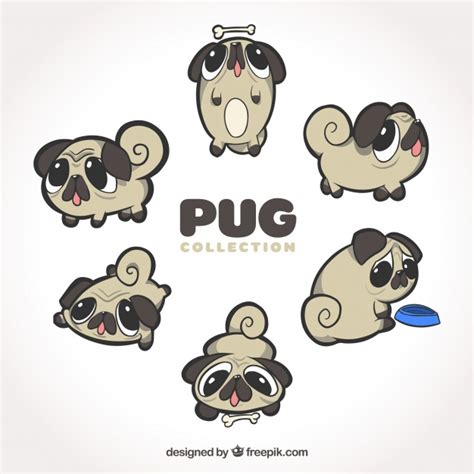 Free Vector Original Variety Of Funny Pugs