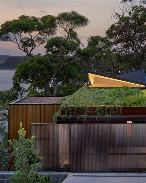 Jackfruit Tree Australian Architecture Headland Green Roof
