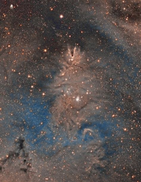 Cone Nebula Christmas Tree Cluster Hubble Variable Nebula
