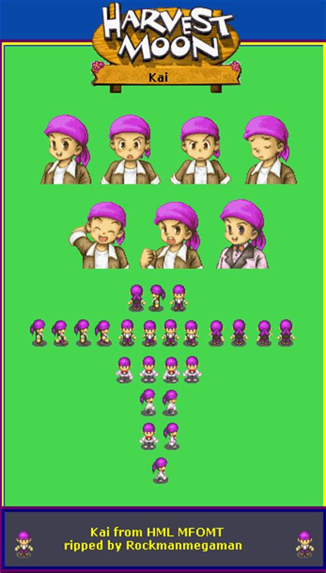 Earlier this week, we shared the news that a remake of game boy advance title harvest moon: Game Boy Advance - Harvest Moon: More Friends of Mineral ...