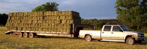 Check out the new trailer starring claes bang, elisabeth moss, and dominic west! Naturally Grown Hay from Treasured Haven Farm