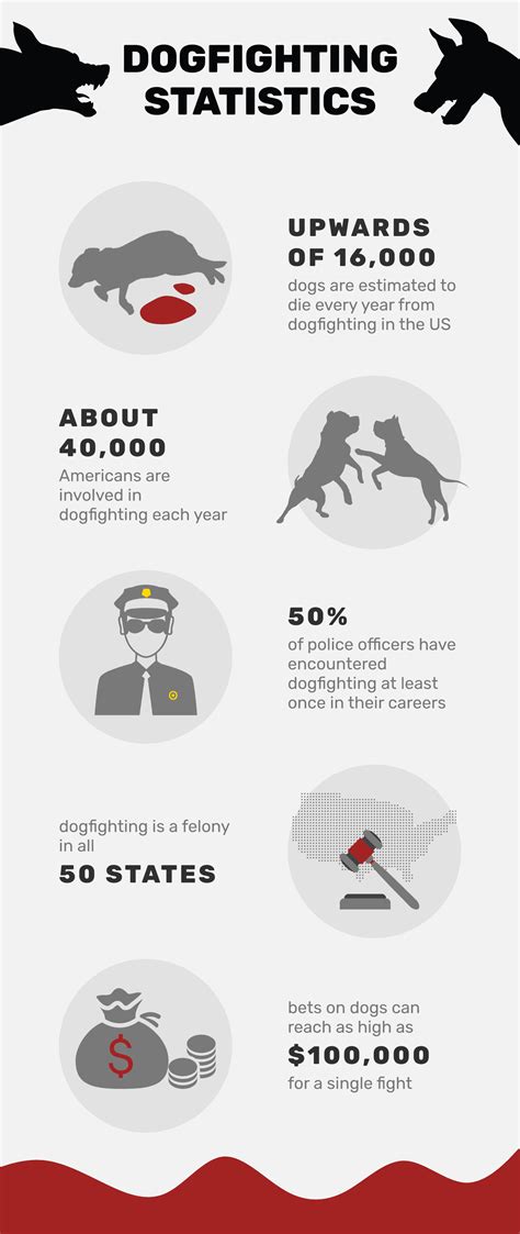 13 Shocking Dog Fighting Statistics And Facts To Know In 2023 Pet Keen