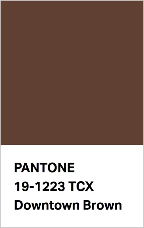 Pantone Color Chart Brown