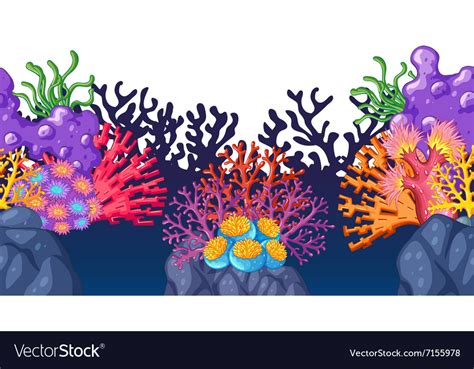 Colorful Coral Reef Underwater Royalty Free Vector Image