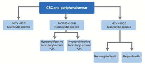Evaluation of anemia - Differential diagnosis of symptoms ...