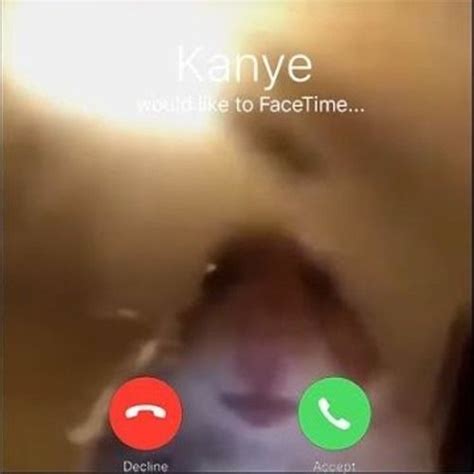 Facetime With Hamster By Demon Beats Facetime Funny Quotes Funny Hamsters