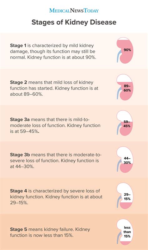 Renal Disease Cause Treatment Guidelines For Chronic Kidney Disease