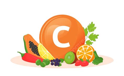 Fontes De Alimentos De Vitamina C Ilustração Vetorial Dos Desenhos