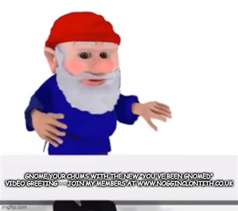 Image Tagged In Youve Been Gnomed Imgflip