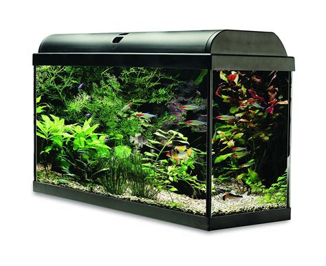 Interpet Aquaverse Glass Aquarium Fish Tank Premium Kit L Mcc