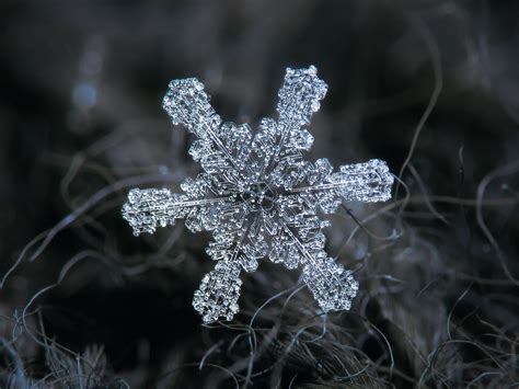 29 Incredible Close Ups Of Snowflakes Shot With A Homemade Camera Rig