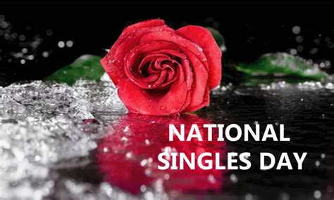 National Singles Day Wishes Quotes Images And Messages