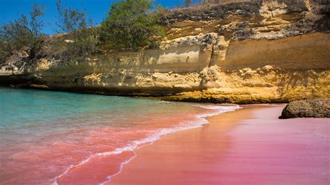 Pretty In Pink 14 Beautiful Pink Sand Beaches To Visit