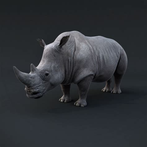 Realistic Rhino Render 3d Max