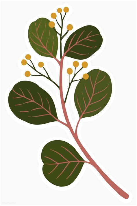Plant Illustration Pattern Illustration Botanical Drawings Botanical