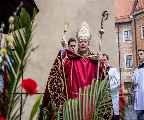 Abp Jędraszewski Z Wezwaniem Na Homilii W Niedzielę Palmową „nie