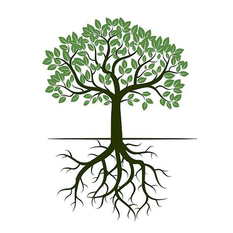 Tree Clipart With Roots 20 Free Cliparts Download Images On