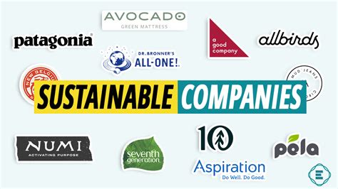 The Most Environmentally Friendly Sustainable Companies