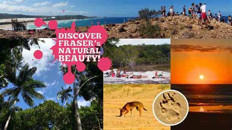 Fraser Island Deals
