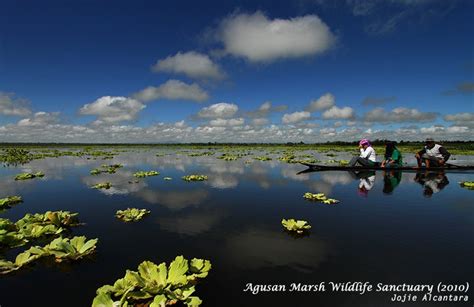 Agusan Marsh Wildlife Sanctuary