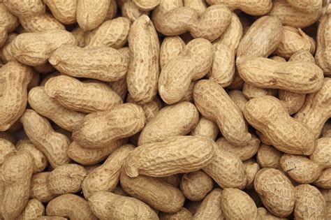 Would Peanut Allergy Therapy Work For Kids