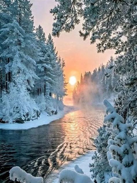 Dawn In Winter All Nature Nature Beauty Amazing Nature Beautiful