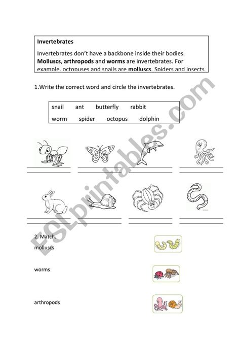 A guide to traditional invertebrate collection methods introduction the was created by matthew bulbert, john gollan, andrew waste water treatment 1. invertebrates - ESL worksheet by AmarillaUD