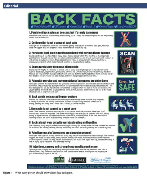Back To Basics 10 Facts Every Person Should Know About Back Pain Go