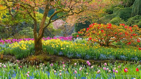 Free Wallpaper Spring Garden