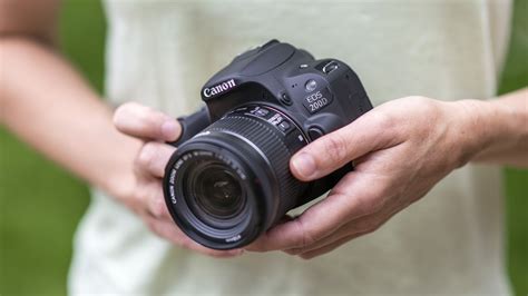 Best Dslr For Beginners 2019 10 Cheap Dslrs Perfect For New Users