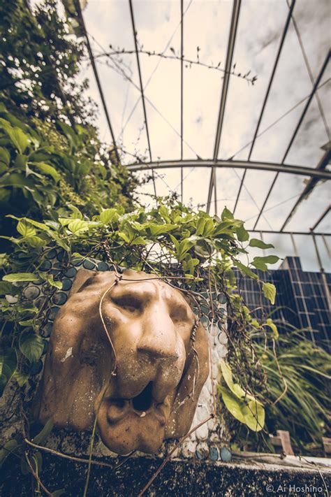 An Abandoned Hotels in Hachijojima
