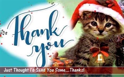 Cute Kitten Thank You Card Free For Everyone Ecards Greeting Cards