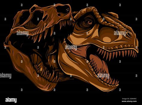 Tyrannosaurus Rex With Skull Fossil Vector Illustration Design Stock