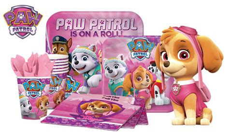 Paw Patrol Girl Party Supplies Ideas Accessories Decorations Games