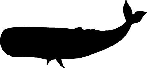 Whale Silhouette Clipart Clipart Best Clipart Best