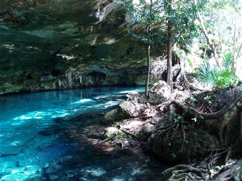 Cenote Wallpapers Top Free Cenote Backgrounds Wallpaperaccess