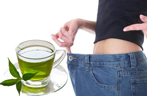 Teh hijau hanya membantu anda menjaga berat badan anda supaya tetap ideal. kandungan Teh Hijau Dapat Turunkan Berat Badan - Situs ...
