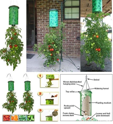 Grow Tomatoes Upside Down Topsy Turvy Upside Down Hanging Planter