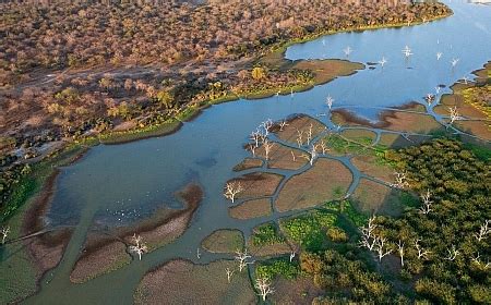 Maybe you would like to learn more about one of these? Botswana - Okavango Delta