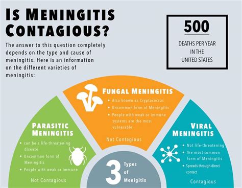 Is Meningitis Contagious How Long Can Meningitis Be Contagious