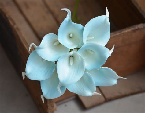 Egg Blue Turquoise Calla Lilies Real Touch Callas For DIY Etsy