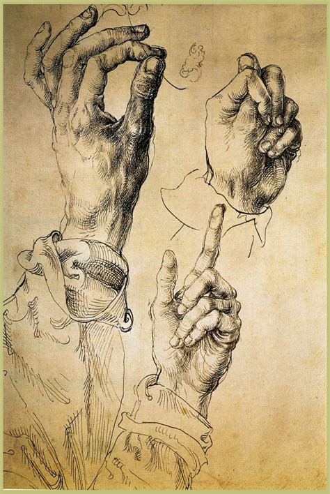 Study Of Hands — Albrecht Durer Biblioklept
