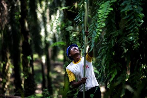 Ipm practitioners base decisions on information that is collected systematically as they integrate economic, environmental and social goals. A Look at Asian Agri's Integrated Pest Management Program ...