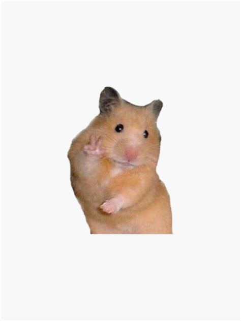 Hamster Meme Sticker By Animefleur Redbubble